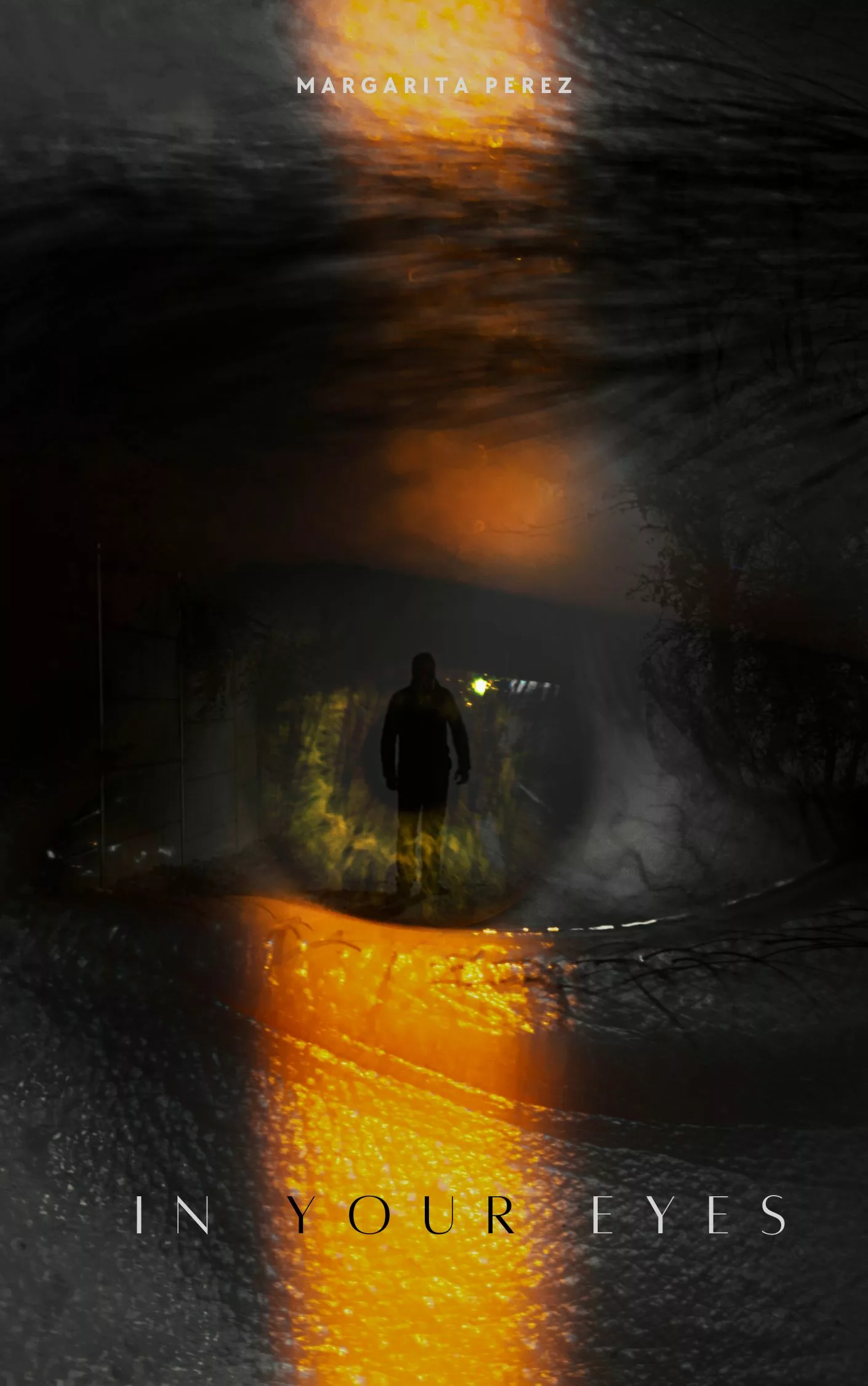 Dark Mysterious Book Cover